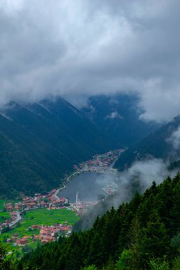 Uzungol (Uzun Göl): Türkiye 'nin en güzel turistik yerlerinden biri. Trabzon, Türkiye 'de alabalık gölü ve küçük bir köyü olan dağ vadisi. Turistler için popüler yaz mevsimi.