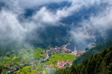 Uzungol (Uzun Göl): Türkiye 'nin en güzel turistik yerlerinden biri. Trabzon, Türkiye 'de alabalık gölü ve küçük bir köyü olan dağ vadisi. Turistler için popüler yaz mevsimi.