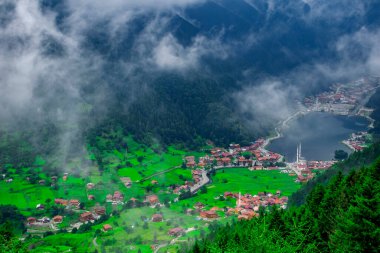 Uzungol (Uzun Göl): Türkiye 'nin en güzel turistik yerlerinden biri. Trabzon, Türkiye 'de alabalık gölü ve küçük bir köyü olan dağ vadisi. Turistler için popüler yaz mevsimi.