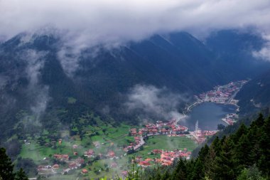 Uzungol (Uzun Göl): Türkiye 'nin en güzel turistik yerlerinden biri. Trabzon, Türkiye 'de alabalık gölü ve küçük bir köyü olan dağ vadisi. Turistler için popüler yaz mevsimi.