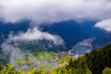 Uzungol (Uzun Göl): Türkiye 'nin en güzel turistik yerlerinden biri. Trabzon, Türkiye 'de alabalık gölü ve küçük bir köyü olan dağ vadisi. Turistler için popüler yaz mevsimi.