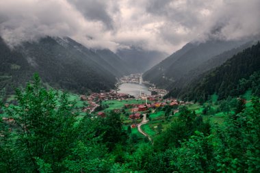 Uzungol (Uzun Göl): Türkiye 'nin en güzel turistik yerlerinden biri. Trabzon, Türkiye 'de alabalık gölü ve küçük bir köyü olan dağ vadisi. Turistler için popüler yaz mevsimi.