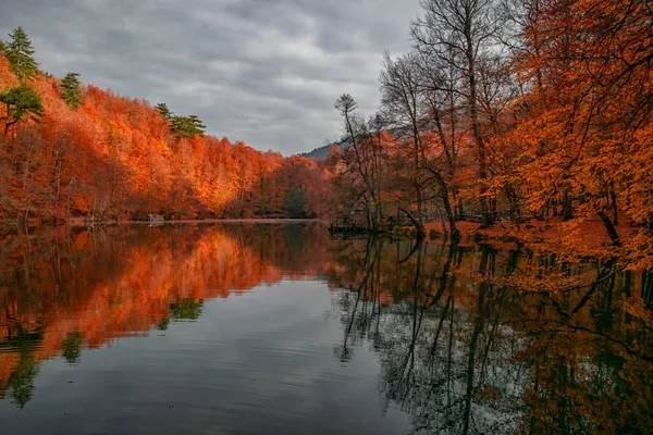 Höstfärger Färgglada Fallna Blad Sjön Magnifikt Landskap Natonial Park Foto — Stockfoto