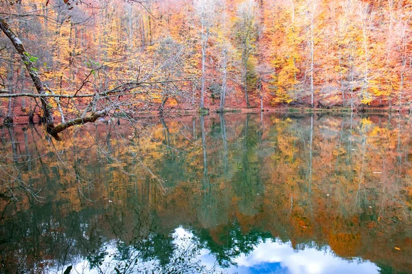 Herfst Kleuren Kleurrijke Gevallen Bladeren Het Meer Prachtig Landschap Natonial — Stockfoto