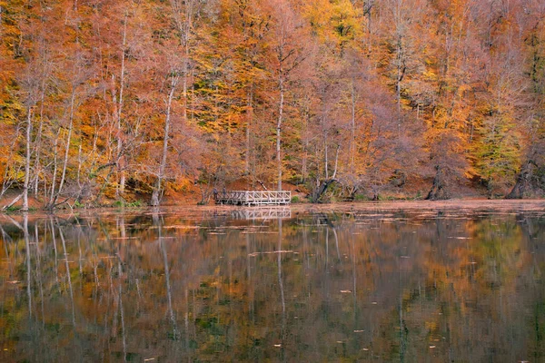 Herbstliche Farben Bunte Abgefallene Blätter See Herrliche Landschaft Naturpark Foto — Stockfoto