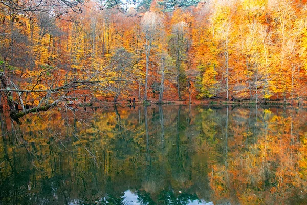 Sonbahar Renkleri Gölde Renkli Yapraklar Var Muhteşem Bir Manzara Natonial — Stok fotoğraf