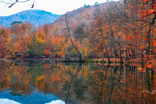 Couleurs Automne Feuilles Tombées Colorées Dans Lac Magnifique Paysage Parc — Photo