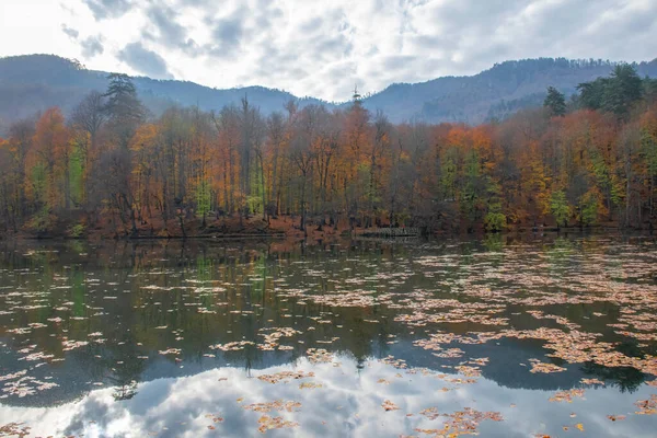 秋天的颜色湖中落叶五彩斑斓 宏伟的风景 娜塔莉公园 2018年11月10日拍摄 土耳其伊斯坦布尔Bolu — 图库照片