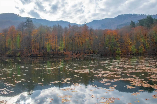 Colores Otoñales Hojas Caídas Colores Lago Magnífico Paisaje Parque Natonial — Foto de Stock