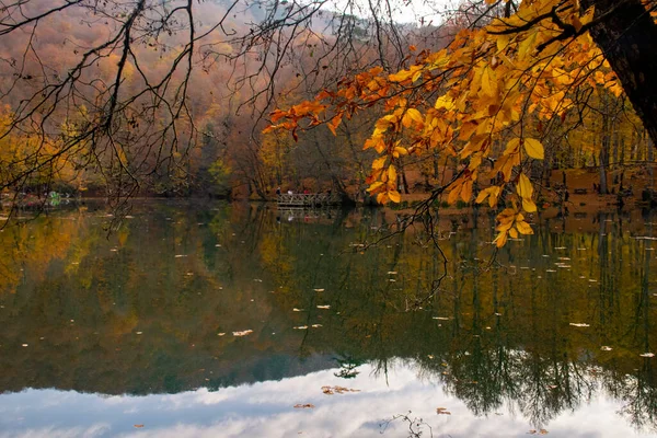 Objet Principal Est Les Feuilles Automne Temps Automne Couleurs Automne — Photo