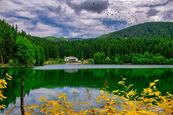 Sisli göl manzarası, orman ve kamp alanı. Fotoğraf Karagol / Karagl, Savsat / avat, Artvin, Karadeniz / Karadeniz bölgesinde çekildi