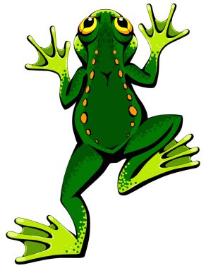 Küçük bir yeşil benekli kurbağa.