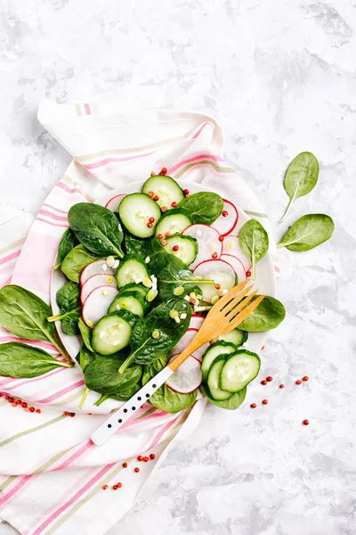 Insalata Con Ravanello Cetriolo — Foto Stock