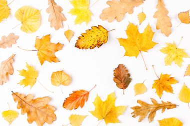 Sonbahar kompozisyon. Sonbaharında yapılan desen bırakır.