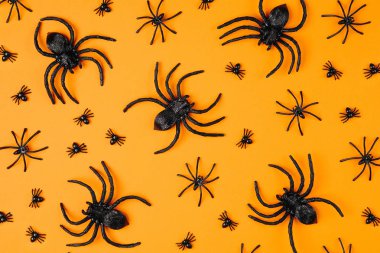 Cadılar Bayramı arka plan ile turuncu renkli yüzey, en iyi görünümü örümcekler
