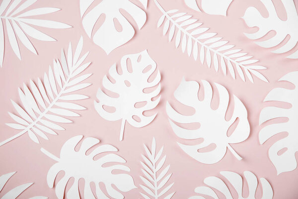 pink background with tropical leaves made of white paper 
