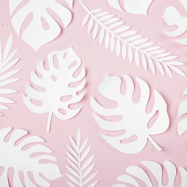 Latar Belakang Pink Dengan Daun Tropis Terbuat Dari Kertas Putih — Stok Foto