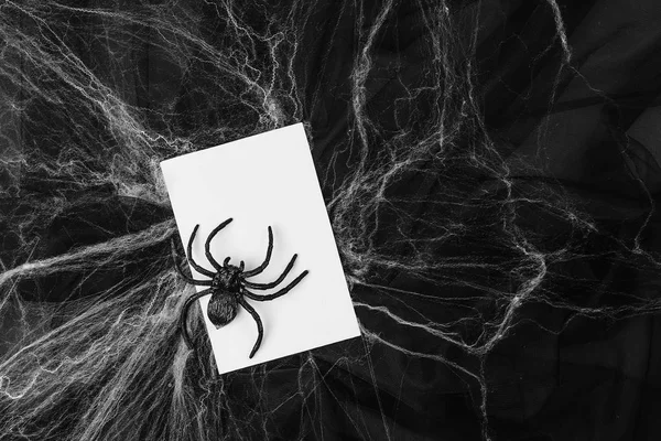 Prázdná Karta Webovými Černém Pozadí Spider — Stock fotografie