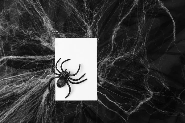 Blank card with Spider and web over black background