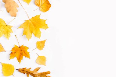 Beyaz arka plan üzerinde sonbahar yaprakları düz yatıyordu bileşimi
