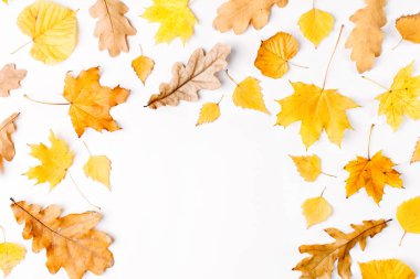 Beyaz arka plan üzerinde sonbahar yaprakları düz yatıyordu bileşimi