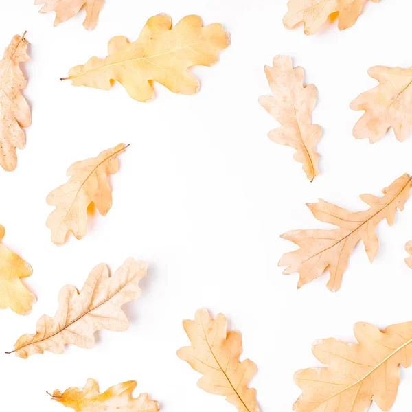 Composición Plana Hojas Otoño Sobre Fondo Blanco — Foto de Stock