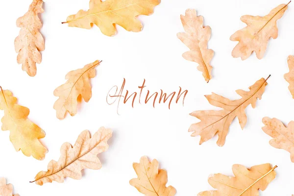 Trockene Blätter Mit Herbstschrift Isoliert Auf Weißem Hintergrund — Stockfoto