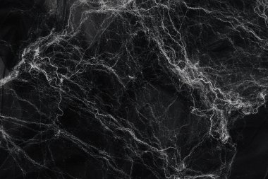 Siyah arka plan, Cadılar Bayramı kavramı üzerinde örümcek ağı