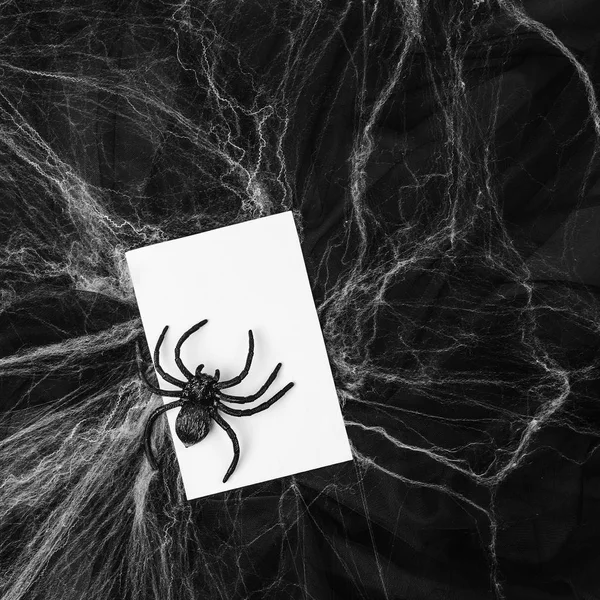 Blank card with Spider and web over black background