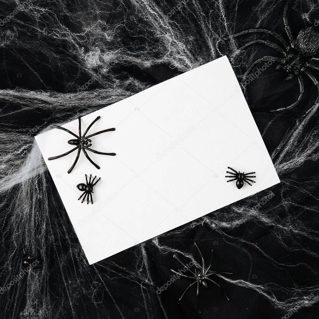 Blank card with Spiders and web over black background