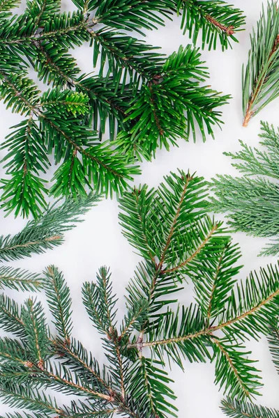Winter holidays and Christmas background with fir branch and pine. Holiday concept. Flat lay, top view