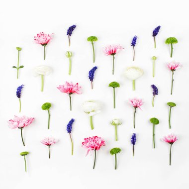 Çiçek kompozisyon. Düğünçiçeği, krizantem ve diğer çiçekleri beyaz zemin üzerine desen yaptı. Düz yatıyordu, en iyi görünümü.