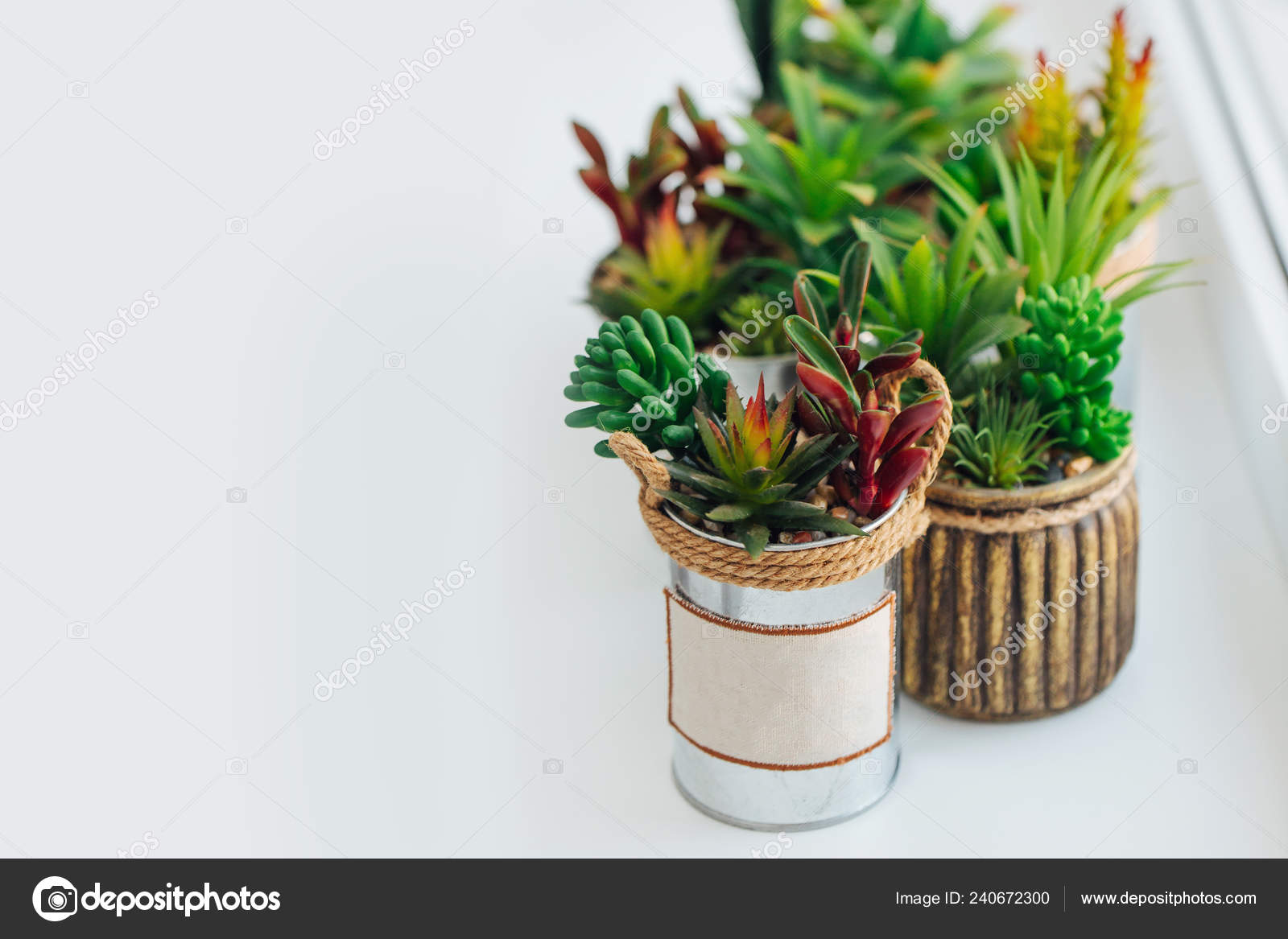 Various Types Cacti Succulents House Plants Pots Wooden Table Stock Photo C Igishevamaria 240672300,Microcrystalline Cellulose In Food