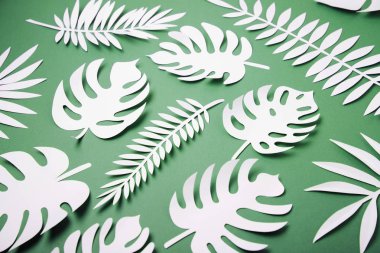 Yeşil arka plan üzerinde çeşitli kağıt yaprakları