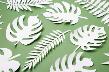 Yeşil arka plan üzerinde çeşitli kağıt yaprakları