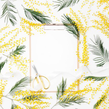 Beyaz arka planda Pano ve Mimoza çiçekler. Düz yatıyordu, en iyi görünüm. Bahar kavramı