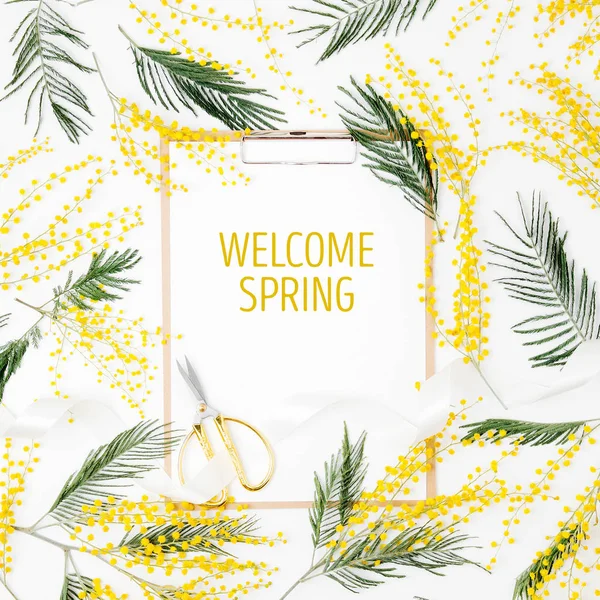 Klembord Mimosa Bloemen Witte Achtergrond Plat Lag Top Uitzicht Lente — Stockfoto