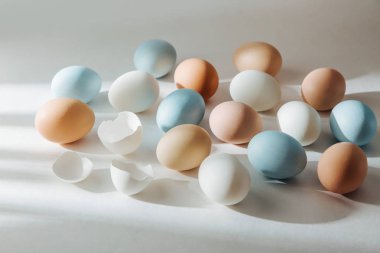 Sunlights doğal renkli yumurta. Besteleri pastel renklerde. Paskalya consept. Düz yatıyordu, en iyi görünümü 