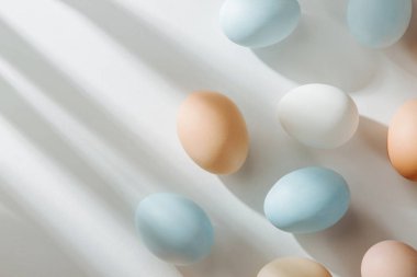 Sunlights doğal renkli yumurta. Besteleri pastel renklerde. Paskalya consept. Düz yatıyordu, en iyi görünümü 