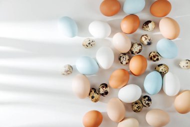 Birçok renkli organik yumurta sunlights. Besteleri pastel renklerde. Düz yatıyordu, en iyi görünümü 