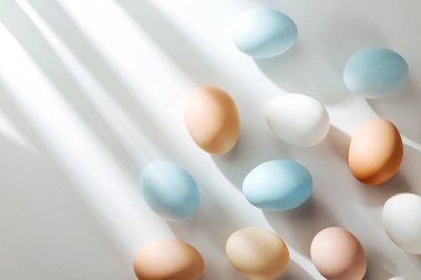 Sunlights doğal renkli yumurta. Besteleri pastel renklerde. Paskalya consept. Düz yatıyordu, en iyi görünümü 