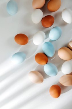 Sunlights doğal renkli yumurta. Besteleri pastel renklerde. Paskalya consept. Düz yatıyordu, en iyi görünümü 