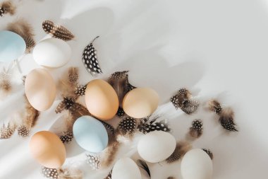 Doğal renkli kahverengi, bıldırcın ve beyaz yumurta ile sunlights. Besteleri pastel renklerde. Paskalya consept. Düz yatıyordu, en iyi görünümü