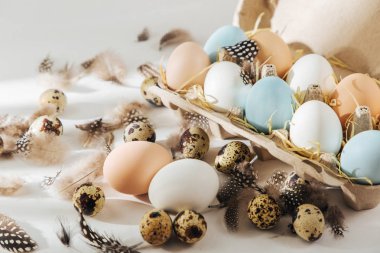 Doğal renkli kahverengi ve beyaz yumurta yumurta kutusunda sunlights ile... Besteleri pastel renklerde. Paskalya consept.  