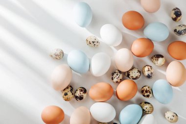 Doğal renkli kahverengi, bıldırcın ve beyaz yumurta ile sunlights. Besteleri pastel renklerde. Paskalya consept. Düz yatıyordu, en iyi görünümü