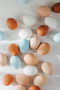 Sunlights doğal renkli yumurta. Besteleri pastel renklerde. Paskalya consept. Düz yatıyordu, en iyi görünümü 