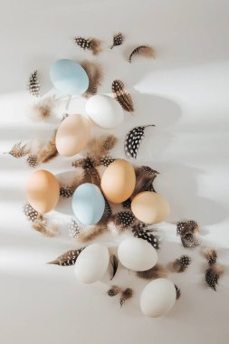 Doğal renkli kahverengi, bıldırcın ve beyaz yumurta ile sunlights. Besteleri pastel renklerde. Paskalya consept. Düz yatıyordu, en iyi görünümü
