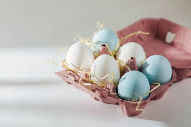 Doğal renkli kahverengi ve beyaz yumurta yumurta kutusunda sunlights ile... Besteleri pastel renklerde. Paskalya consept.  