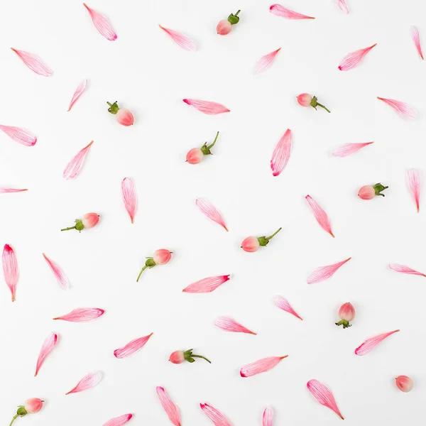 Квіткова Композиція Візерунок Рожевих Пелюсток Ягід — стокове фото