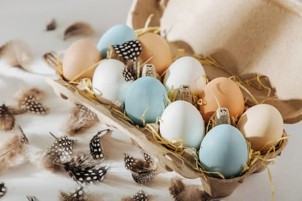 Многие Красочные Органические Яйца Яичной Коробке Солнечными Лучами Произведения Пастельных — стоковое фото